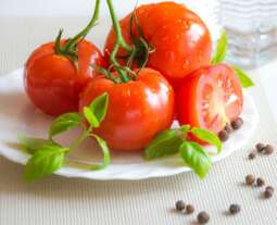 pexels-asphotograpy-96616